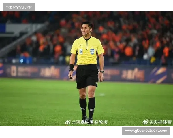 中国足协公布2025年国际级裁判员名单 马宁傅明张领衔新阵容 中国足协公布2025年国际级裁判员名单 马宁傅明张领衔新阵容