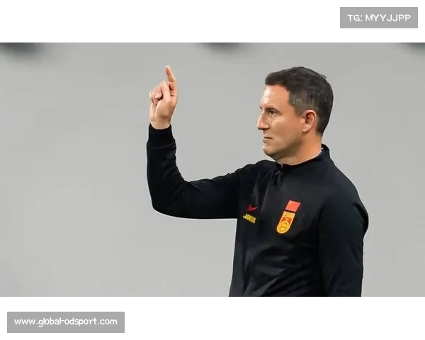 塞尔维亚媒体爆料扬科维奇下课 足协已行动